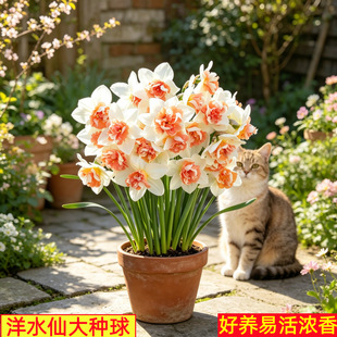�M����ˮ�ɷN��N��ˮ�������ذ��_���҃����̨���B����ֲ���ͺ�