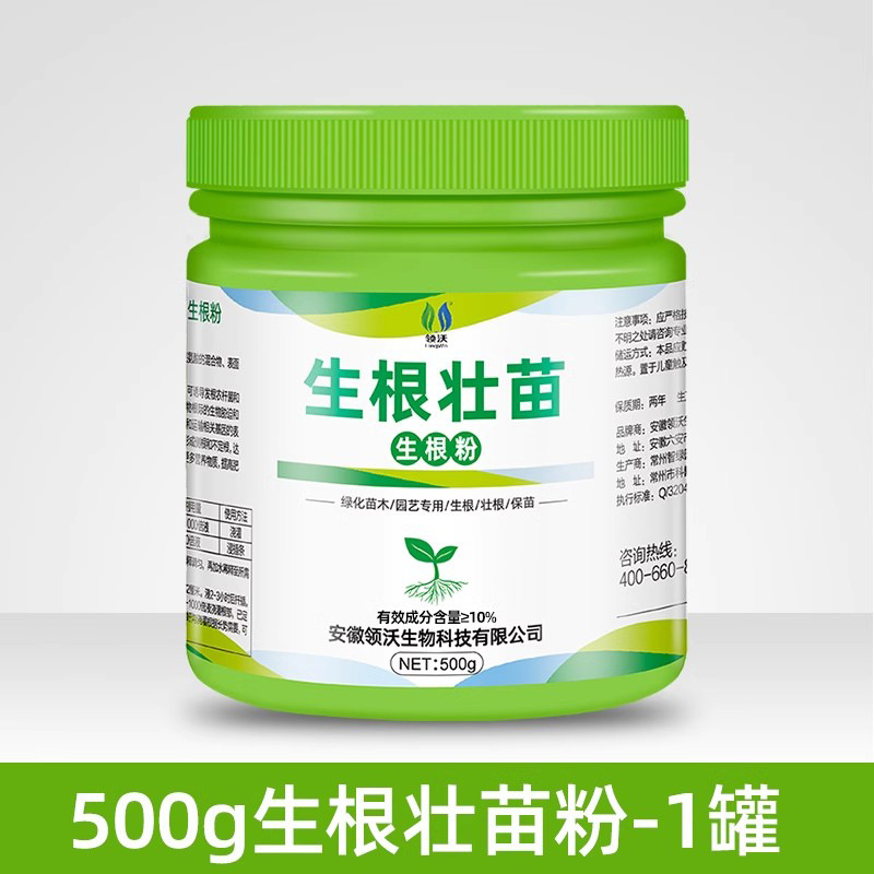 発根パウダー 500g×1缶(小スプーン付き)