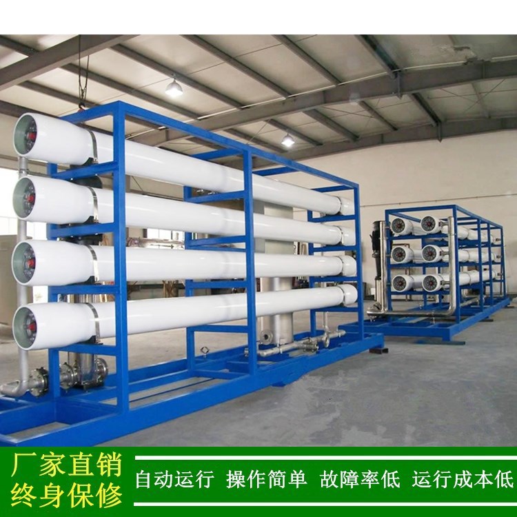 供应东莞大型水处理设备生产厂家工业反渗透纯水制取设备30t/h