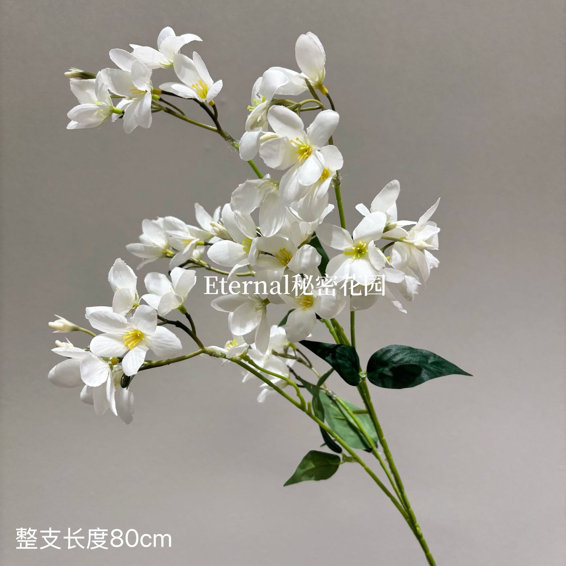 자주색과 흰색