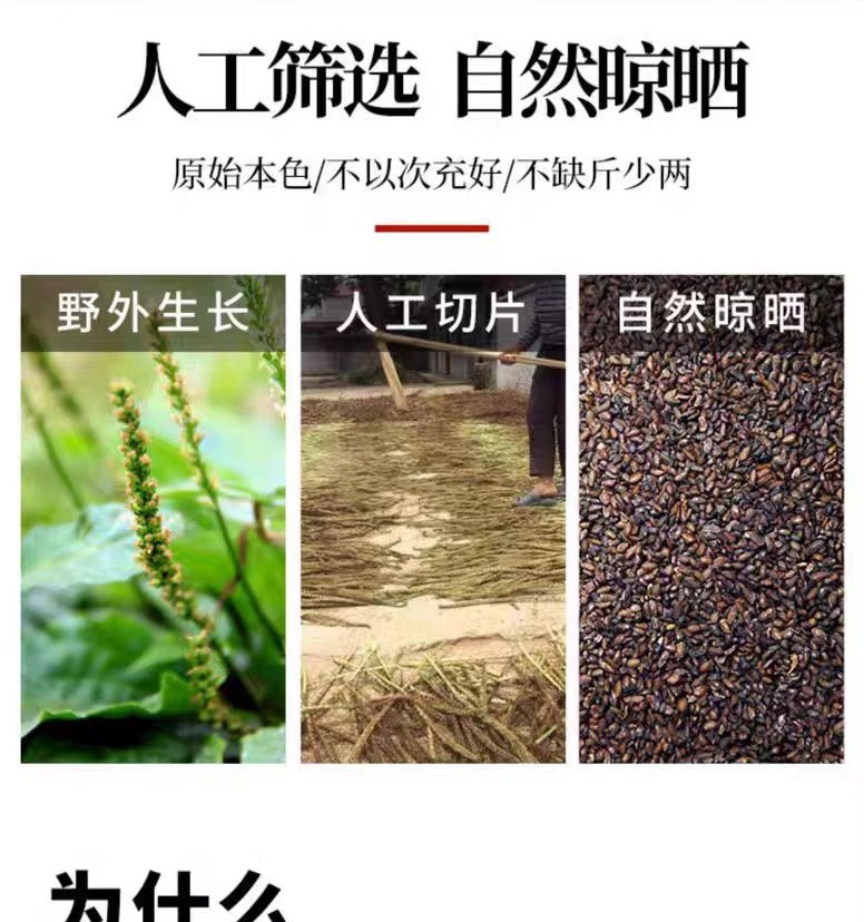 Plantain Seed (Plantago asiatica) — Dried Che Qian Zi Food Herb, 500g key features
