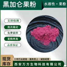 黑加仑果粉万方现货速溶黑醋栗果粉品质保证水溶性黑加仑果粉