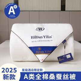 希尔顿酒店压花蚕丝被被芯冬被宿舍桑蚕丝春秋被芯礼品夏凉被批发