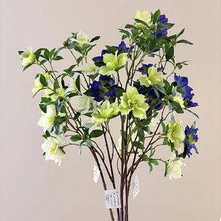 �����F��ɏ �͹�ʯ�� ��ɫϵ���� �Ĕz���ߏ͹������OӋ�Ӱ��g