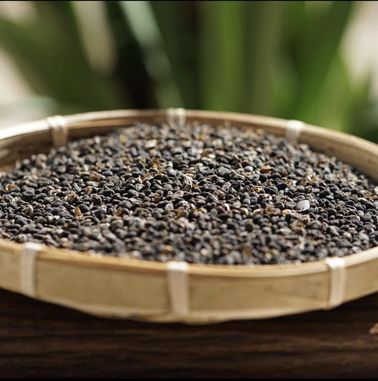 Bu Gu Zhi Psoralea Fruit 500g Dried Chinese Herbal Seeds for Decoction and Tea specifications