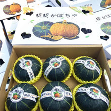 ����ؐؐ�Ϲ������С�����oʳ����Ŵɽ�|�϶Y�����lɽ�|���x