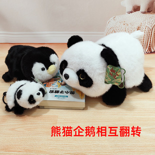 ����̩��؈���D���Zë�q�������׃�����Є�����ż�Y�ͯ���