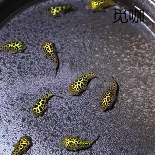 �����^�p�~�����޵�ˮСС������Ķ��Ӻ��B�ͻ��ɿ�������