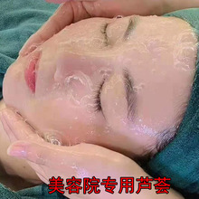 库拉索大芦荟灌肤美容院专用绿植室内盆栽多肉植物叶片可食用小苗