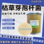 水产微生物壮苗农用杆菌