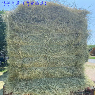 ������һ���R��������ţ������Bֳ�����ţ���R���݄���@��