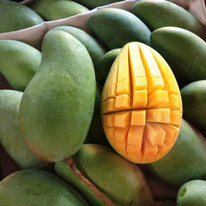 越南甜心芒果肉丝滑香甜5斤8斤9斤现货供应新鲜水果微供一件代发