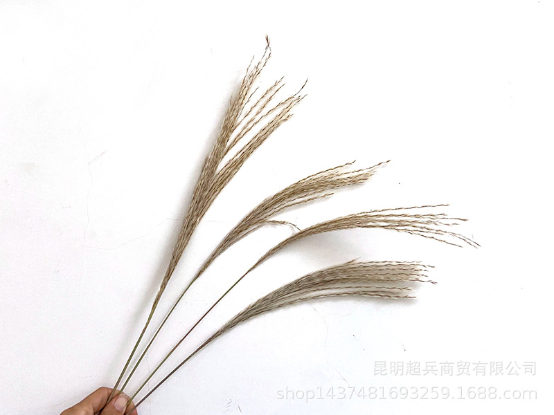 QQ图片20211106150841.jpg