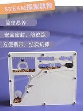 蚂蚁工坊家园蚂蚁箱盒城堡蚂蚁窝巢观察宠物蚂蚁繁殖蚁后