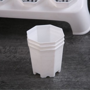 Succulent Flower Pot Thickeneded White Small with Holder Simple Living Room Bedroom Balcony Plastic Flower Pot Green Plant Seedling Small Pot
