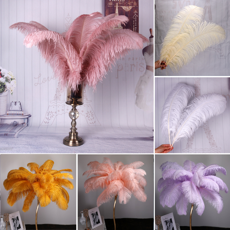 Plumas de avestruz DIY red ins rosa de avestruz accesorios de fotografía de camello adornos de plumas de boda decoración