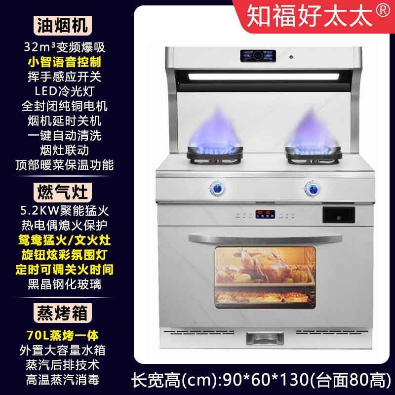 파이프 천연가스 [공장 직배송, 집까지 배송] - [화이트 슬레이트] 900 찜과 베이킹 일체형 음성 제어