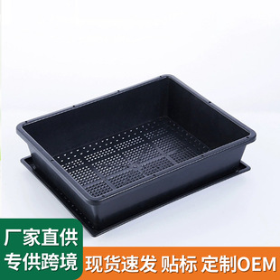 �L���ζ�������P �ڷ����бP�м� ��ɫ�����趹ѿ�� ���������