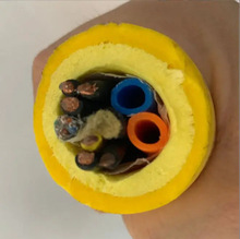 TPU�o�׸������������| �^��0.8mm ���g����