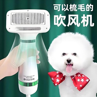 С�͹������L�C��ë����һ�ٸɱ���̩�����ɟoһ�I��ë����ϴ����