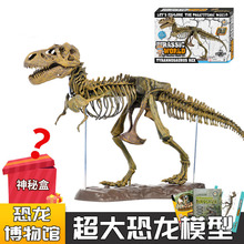 伙拼新款恐龙骨骼化石模型可拼装号精美霸王龙骨架工厂批发
