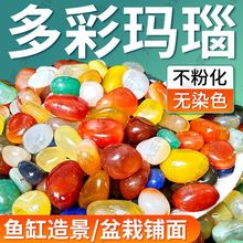 ������Ȼ��觶���껨ʯ�@ˇ�B���辰ʯ�~���쾰ʯ��ƿˮ���Z��ʯ