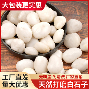 50���ɫ�Z��ʯͥԺ���@�·䁵�ʯ�^�����̨�쾰�껨ʯͥԺ�쾰