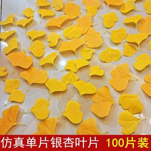 �����y���~�~�Sɫ�Gɫ�٘��~䁵��������~��c��Y�b��~���쾰