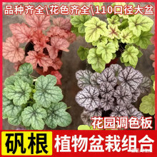 \Իֲ҃Ȼļ^~ͺGֲͥԺرG