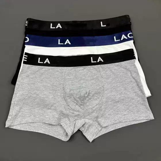 Wholesale Trendy Foreign Trade Men's Underwear La Men's Popular Boxer Briefs Item C06 Men's Underwear Big Brand