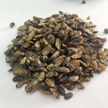 ���u��D�x Ұ����D�x ��ʭ �����x ���x ��؛ ���]�ɴ��