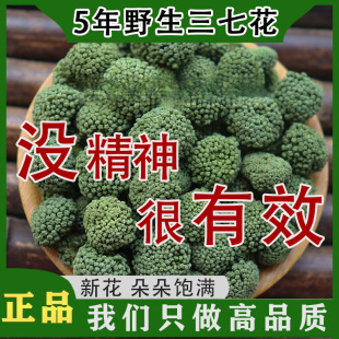 �پW��Ş��Ұ����������5��������껨�ļ����߻���ɽ