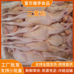 ���r�F�����S�u�������l�V�|�r��ɢ�B�ߵ��u���|�o�����rʳƷ�l؛