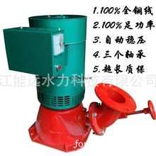 3kw励磁斜击式小型水利发电机 微型水流发电机 水轮机