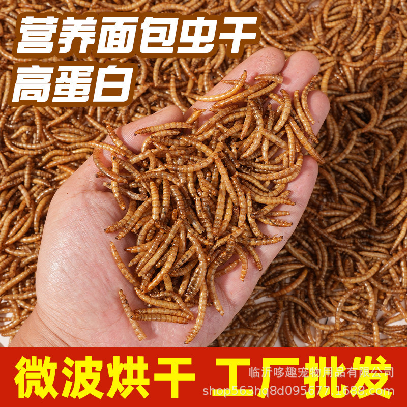 Canned Mealworm Dried Food for Lizards, Chickens, Birds, Turtles, Golden Hamsters, Hedgehogs, Starlings, Mealworms, and Hamster Supplies Canned Mealworm Dried Food for Lizards, Chickens, Birds, Turtles, Golden Hamsters, Hedgehogs, Starlings, Mealworms, and Hamster Supplies