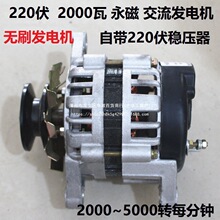 Ƥ��݆ʽ����220v��2000w��С���~�������ʼ��ßoˢ�����l늙C