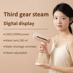 New Steam Electric Iron Handheld Garment Ironing Machine High-Power Ironing Machine Small Vertical Iron in Stock