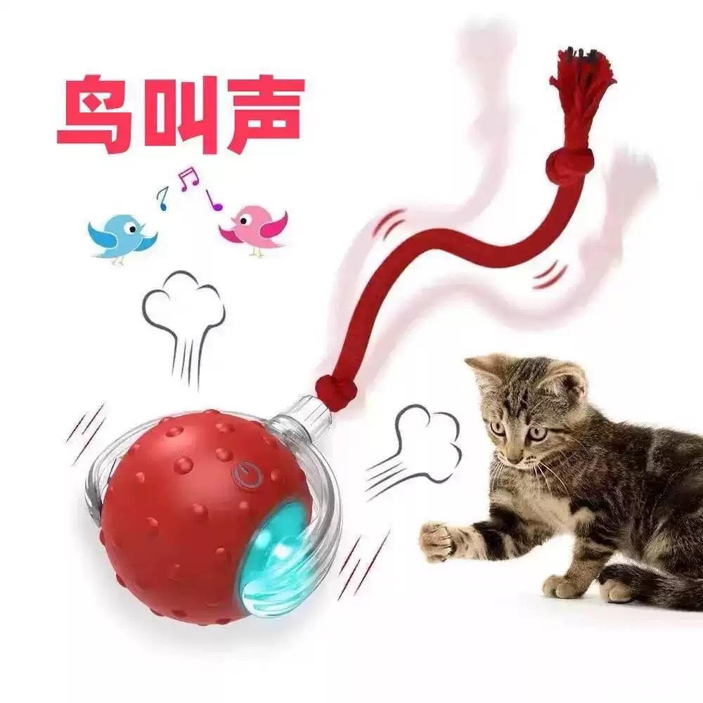 Perros y gatos, juguetes para gatos