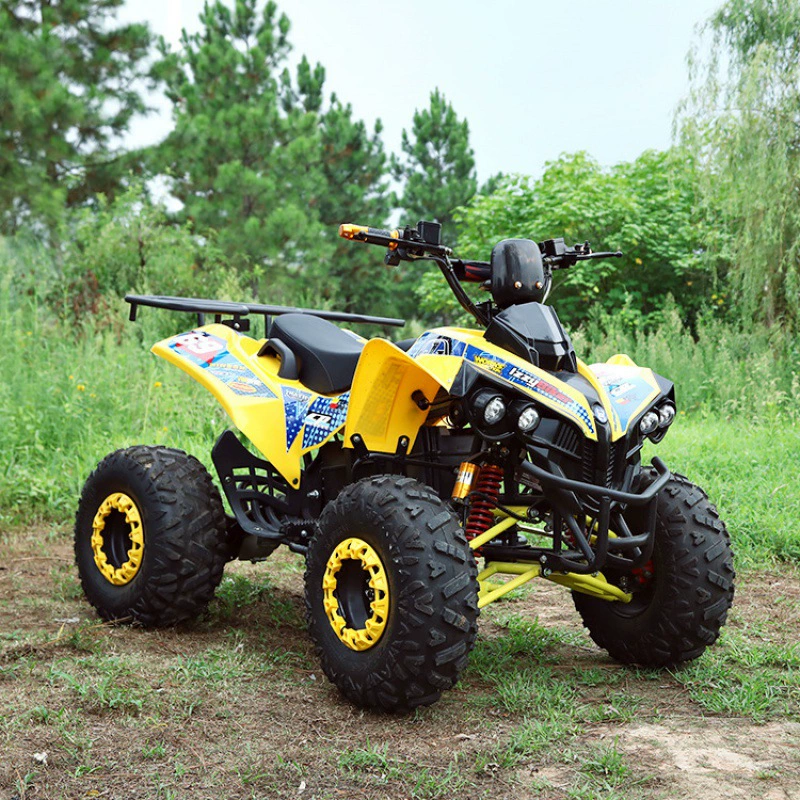 Электрический ATV электрический пляжный автомобиль внедорожник все-снег пляжный автомобиль четырехколёсный мотоцикл 110cc