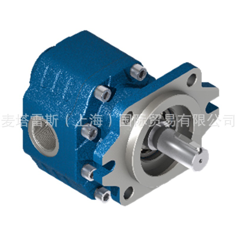 G40系列卡塞尔KAZEL定量铸铁齿轮泵