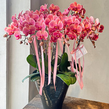 ��Ʒ�����m���Ԏ��滨�r�����fͬ�����ͶY���_�I���w�����Ϻ��ɶ�