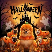 跨境爆款款宠物衣服万圣节Halloween立体俏皮南瓜变身装狗衣服批