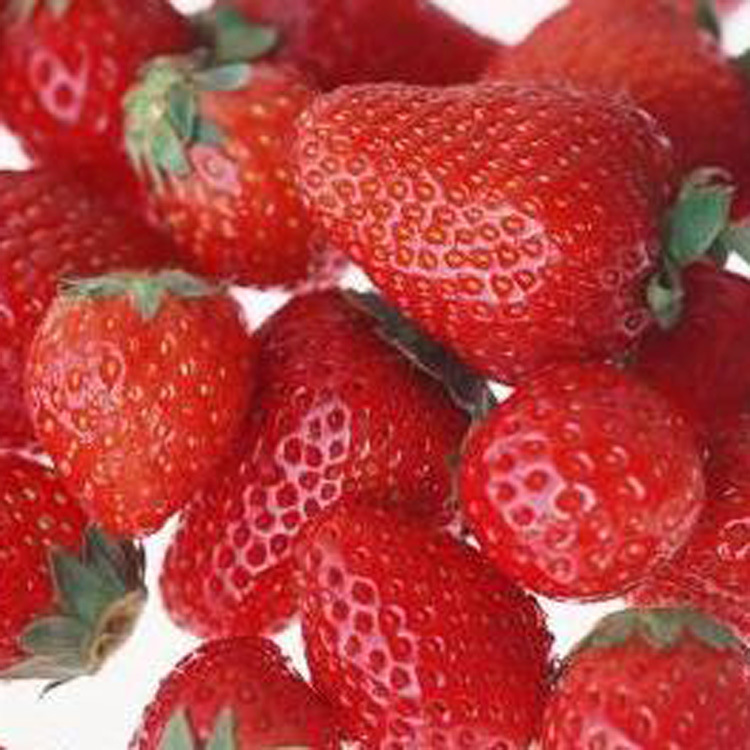 PU���ص����͸����㾫�������㾫��ˮ�����㾫����ݮ�㾫