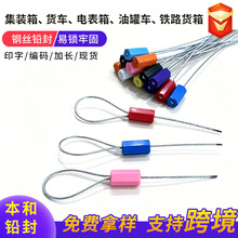 一次性钢丝封条油罐车物流锁集装箱封签钢丝铅封扎带防伪扣施封锁