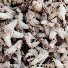 �a�����l��ș�İ�ܸ �B���� �ʸ��׸� ����� ���u������ă�