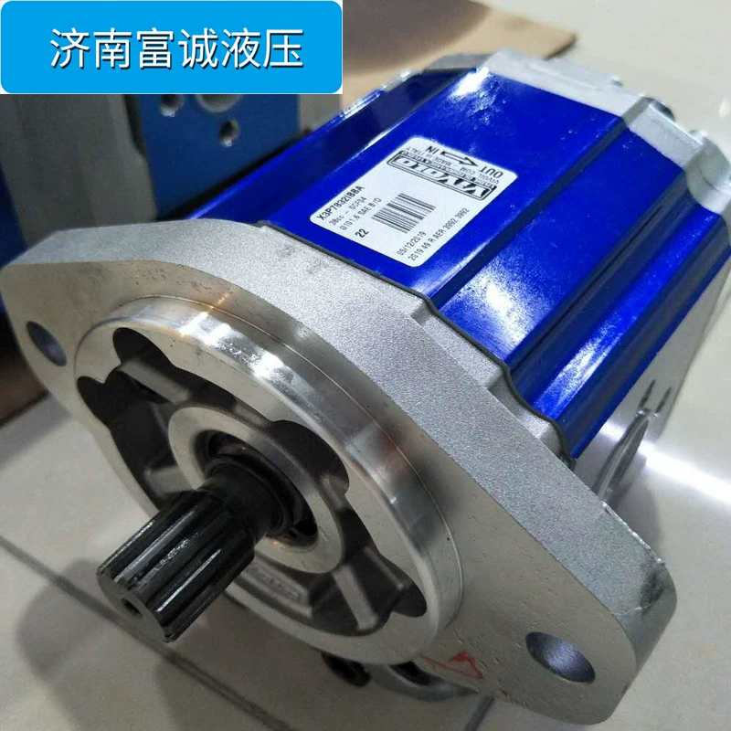 Италия VIVOLO Агент прямой подачи гидравлической станции масляный насос X3P8032HBAA оригинальный шестеренный насос высокого давления