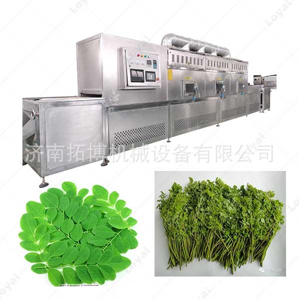 烘干温度低均匀 微波设备 能量分布均匀 营养粉