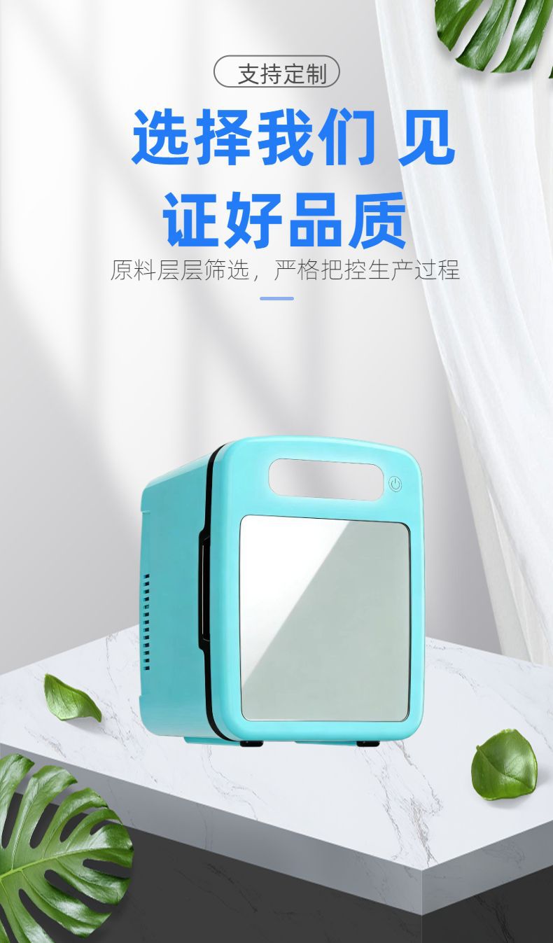 Car Refrigerator for Cosmetics and Skin Care Products, Small Refrigerator for Beauty Products with Lighting, Mini Refrigerator for Car Use