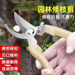 鋼鉄製の粗枝剪定ばさみ、省力剪定ばさみ、園芸用剪定ばさみ、花木、果樹、バラの枝接ぎ、園芸用剪定ばさみ、園芸工具