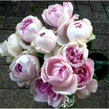 ���羳��؛����Ʒ��ܽϵ���¼������Ķȷ��������ļ��_������